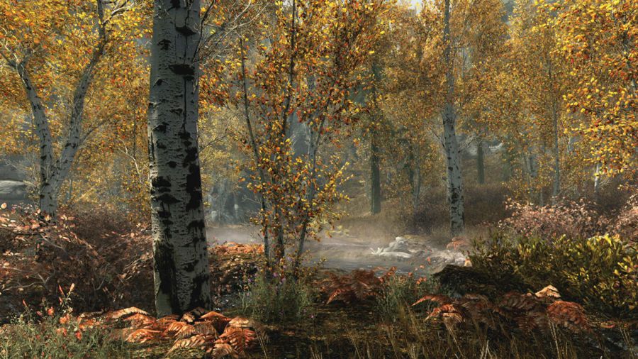 skyrim-wald